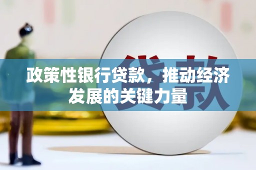 班戈政策性银行贷款，推动经济发展的关键力量