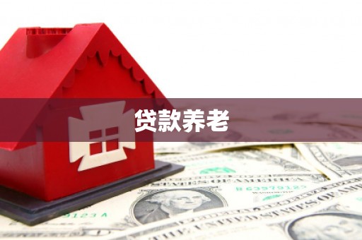 怀化贷款养老