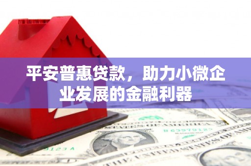 分宜平安普惠贷款，助力小微企业发展的金融利器