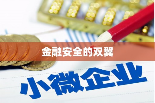 丁青金融安全的双翼