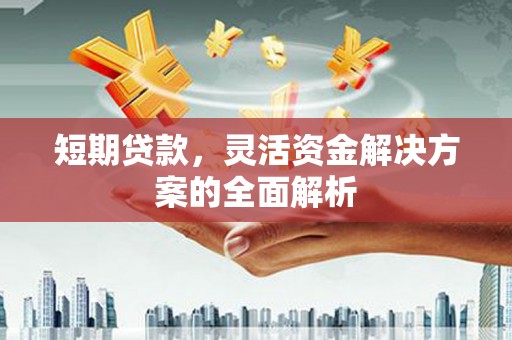 辛集短期贷款，灵活资金解决方案的全面解析