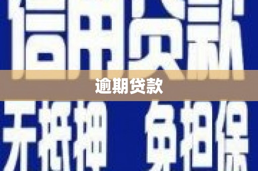 永新逾期贷款