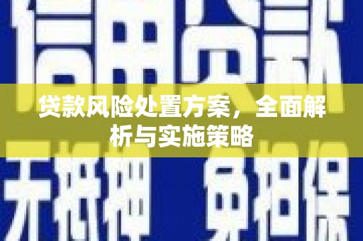 茌平贷款风险处置方案，全面解析与实施策略
