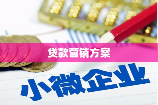 凤林贷款营销方案