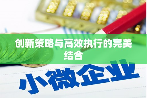 荥经创新策略与高效执行的完美结合