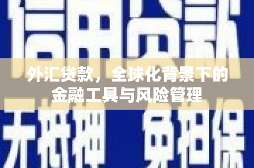 洋县外汇贷款，全球化背景下的金融工具与风险管理